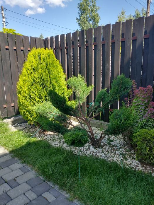 Послуги садівника