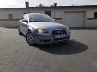 Audi A3 8P Sportback - BKC - polift