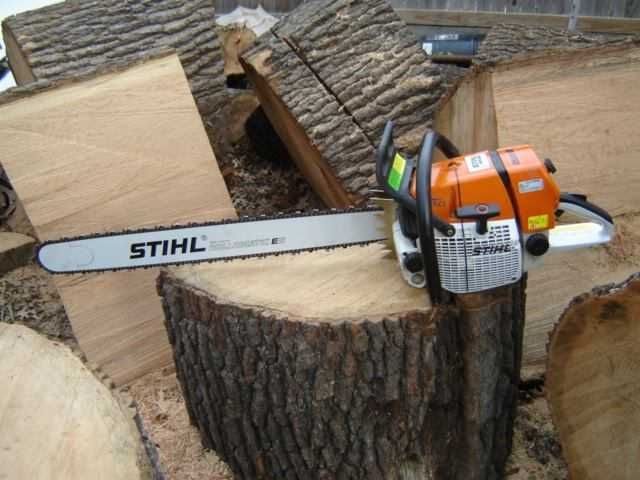 Corte de Madeiras e Lenhas; limpezas de terrenos