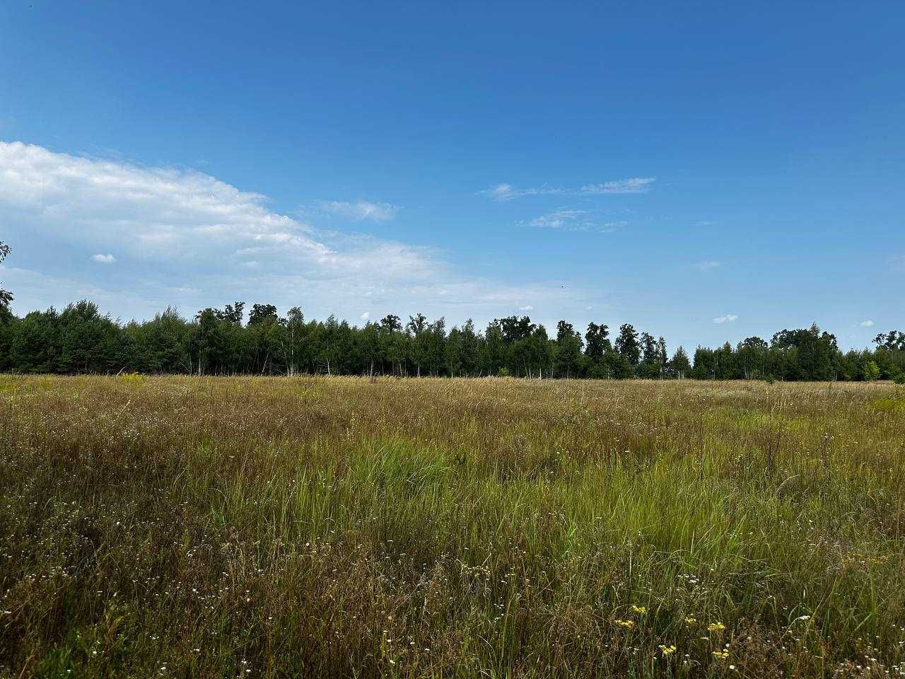 Продаж ділянки 201 сотка (ОСГ). Біля лісу. Озеро - 1км. ID:735