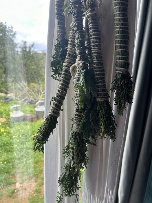 Tochas de Arruda, Alecrim, Alfazema, Boldo