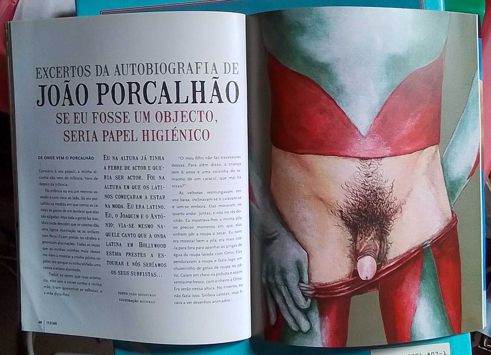 Dois números da defunta Revista 365, criada por Fernando Alvim