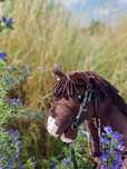 Hobby  Horse- A4