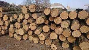 В продажу дрова для опалення. Опт/Роздріб