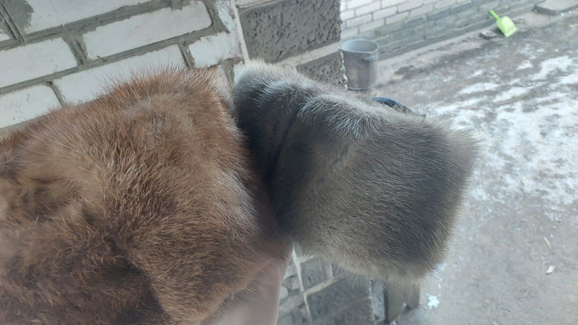 Шапка з норки без дефектів