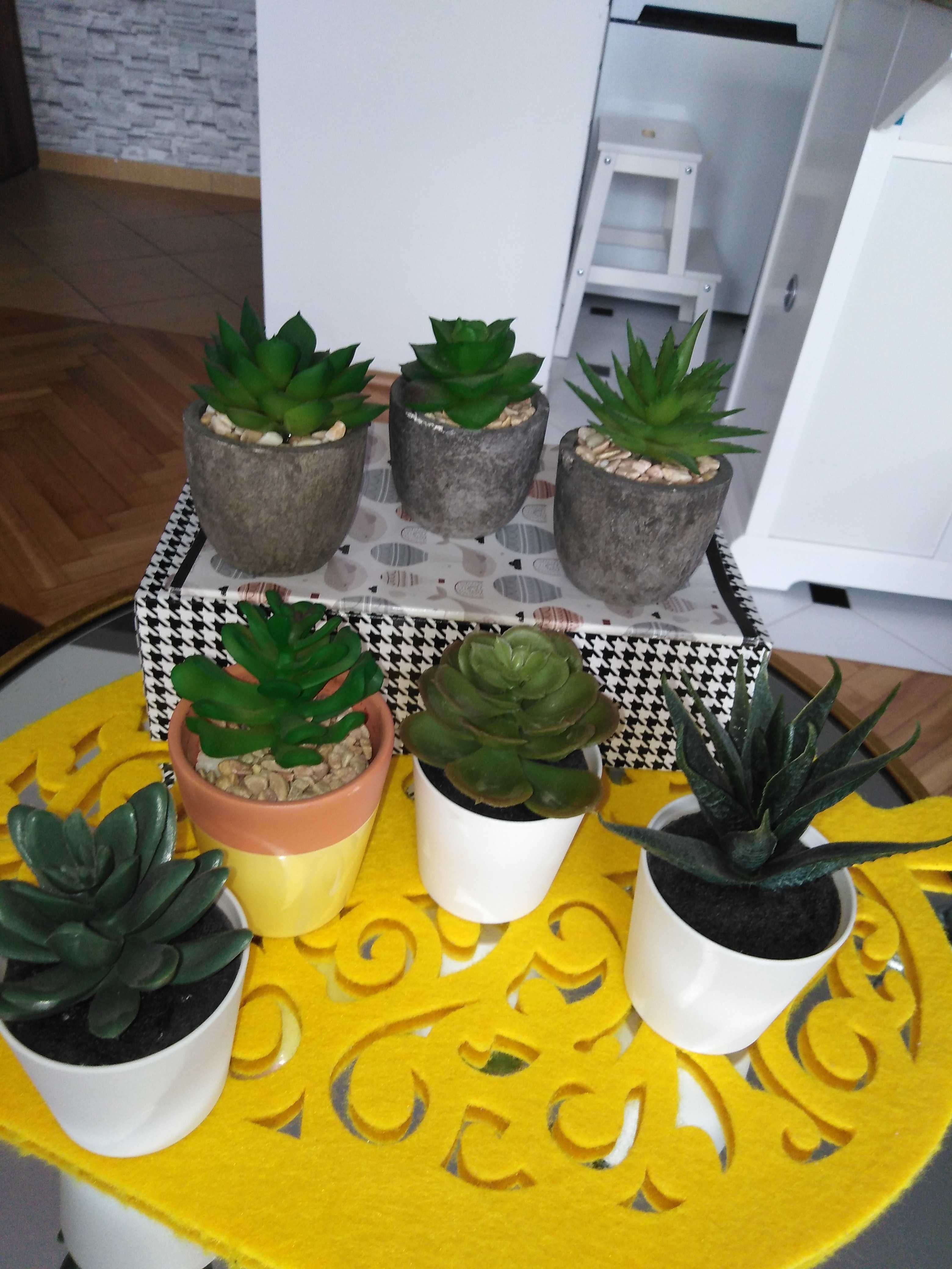 Fejka sztuczne kaktusy sukulety  ceramiczne doniczkach 7 szt do 17 cm