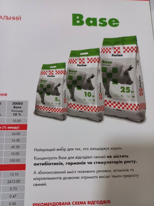 Base концетрат purina для свиней 20085