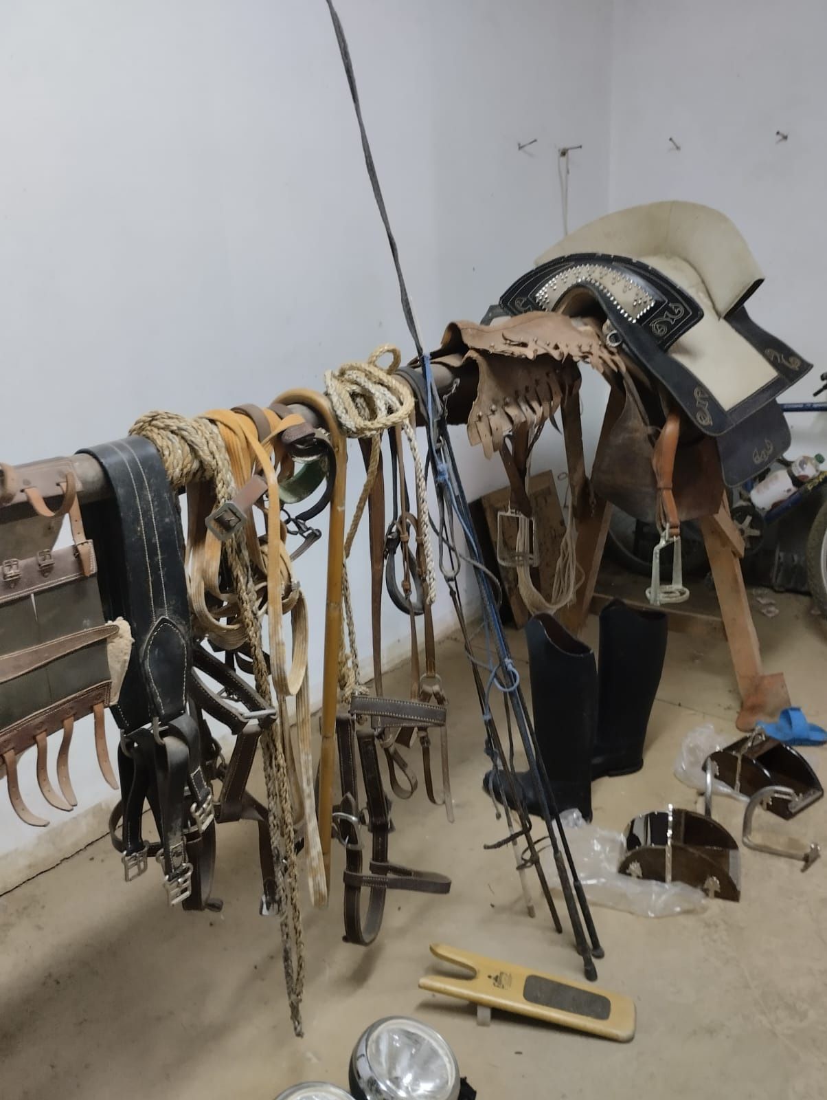 Vendo Matéria Equestre - MONTARIA