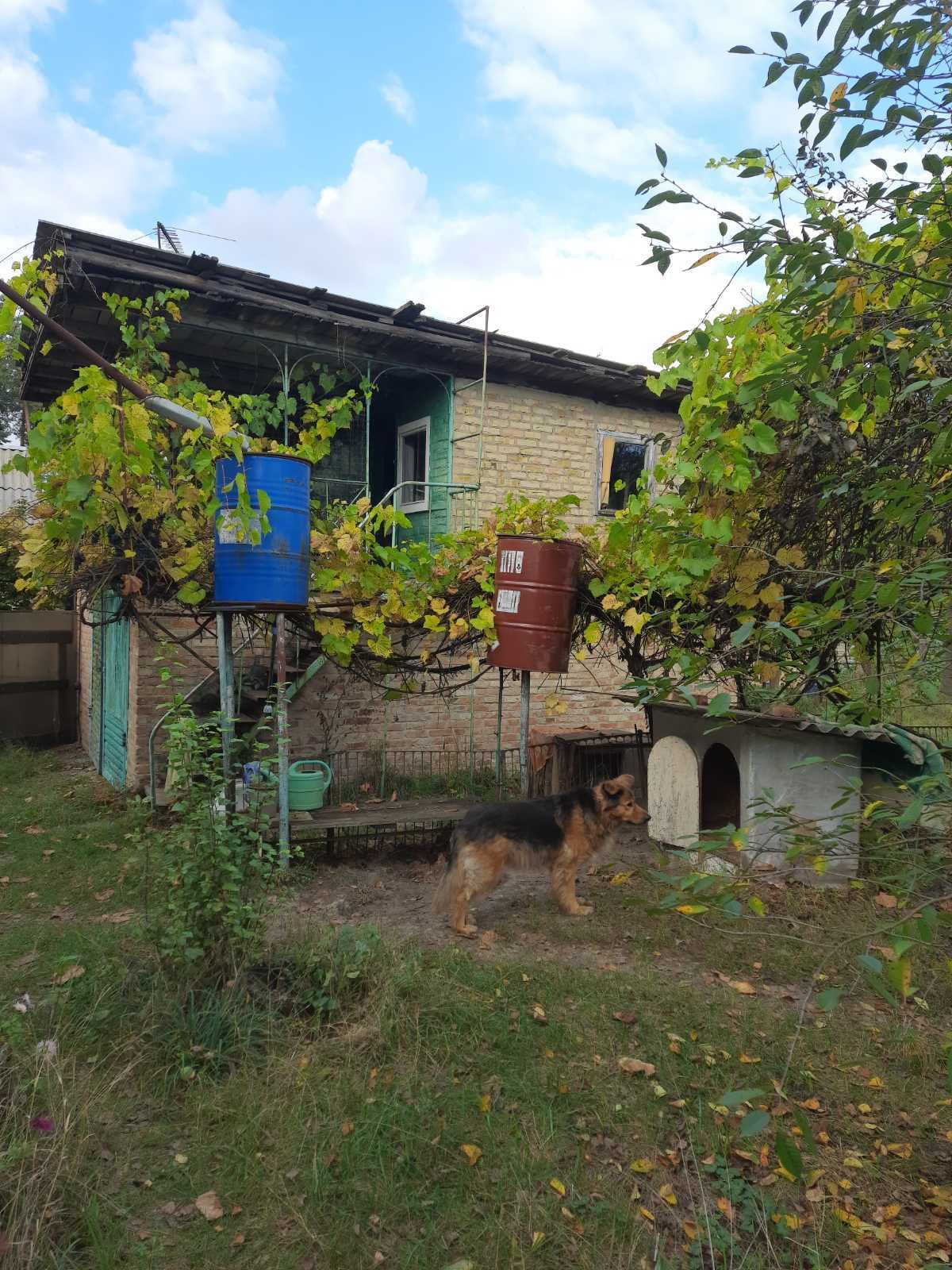 Будинок біля Києва у неймовірному мальовничому середовищі