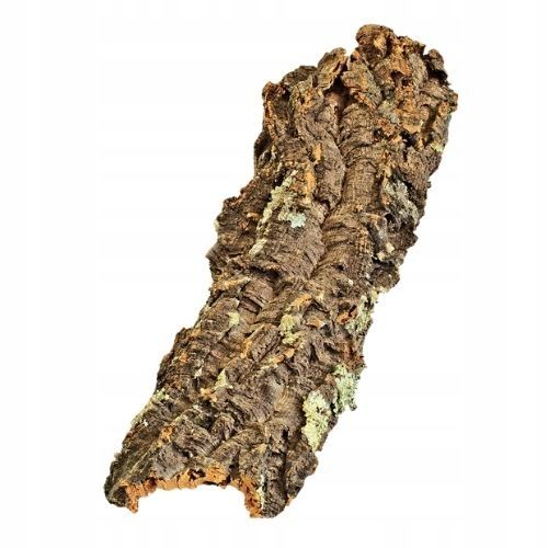Płaty, ścinki dębu korkowego kryjówka 1-1,20 kg