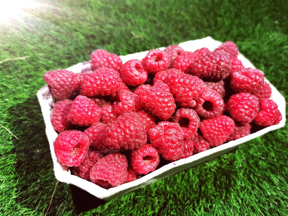 Syropy i Dżemy 100% z Ekologicznych Malin prosto z przydomowego ogrodu