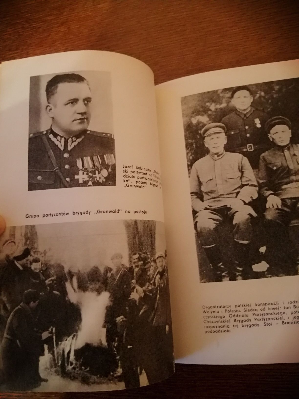 Na wschód od Bugu - Polacy w walce antyhitlerowskiej na ziemiach ZSRR