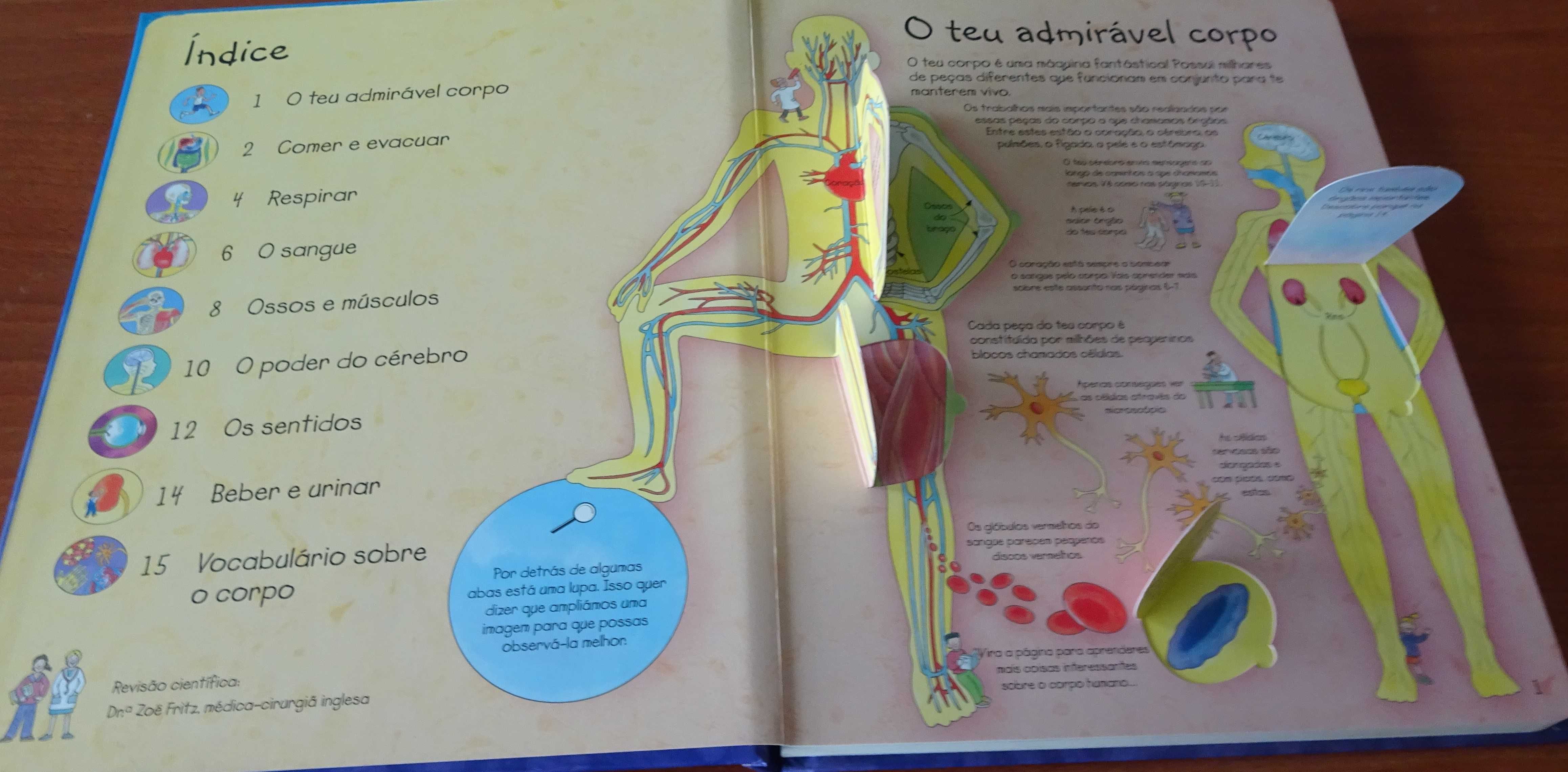 Espreita O Teu Corpo (Com Mais de 50 Abas Para Explorar)