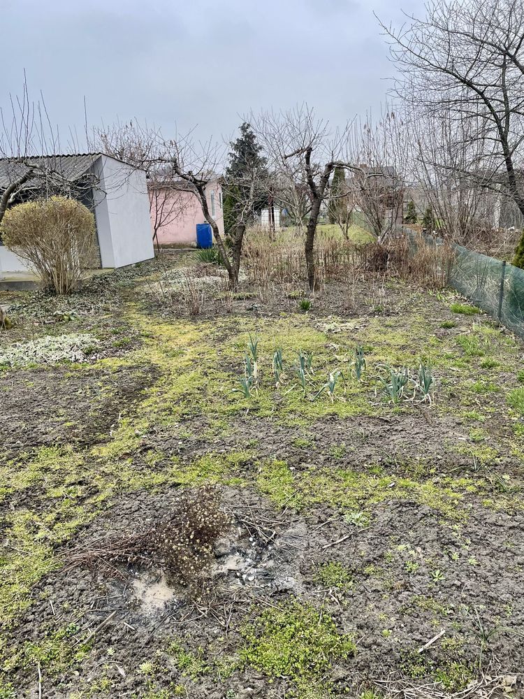 Dzialka ROD Kruszwica ul. Folwarczna