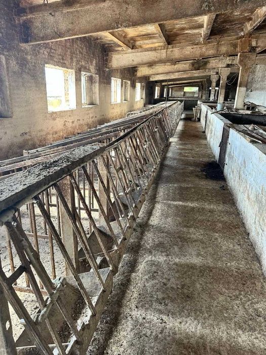 ОРЕНДА, ПРОДАЖ свиноферми