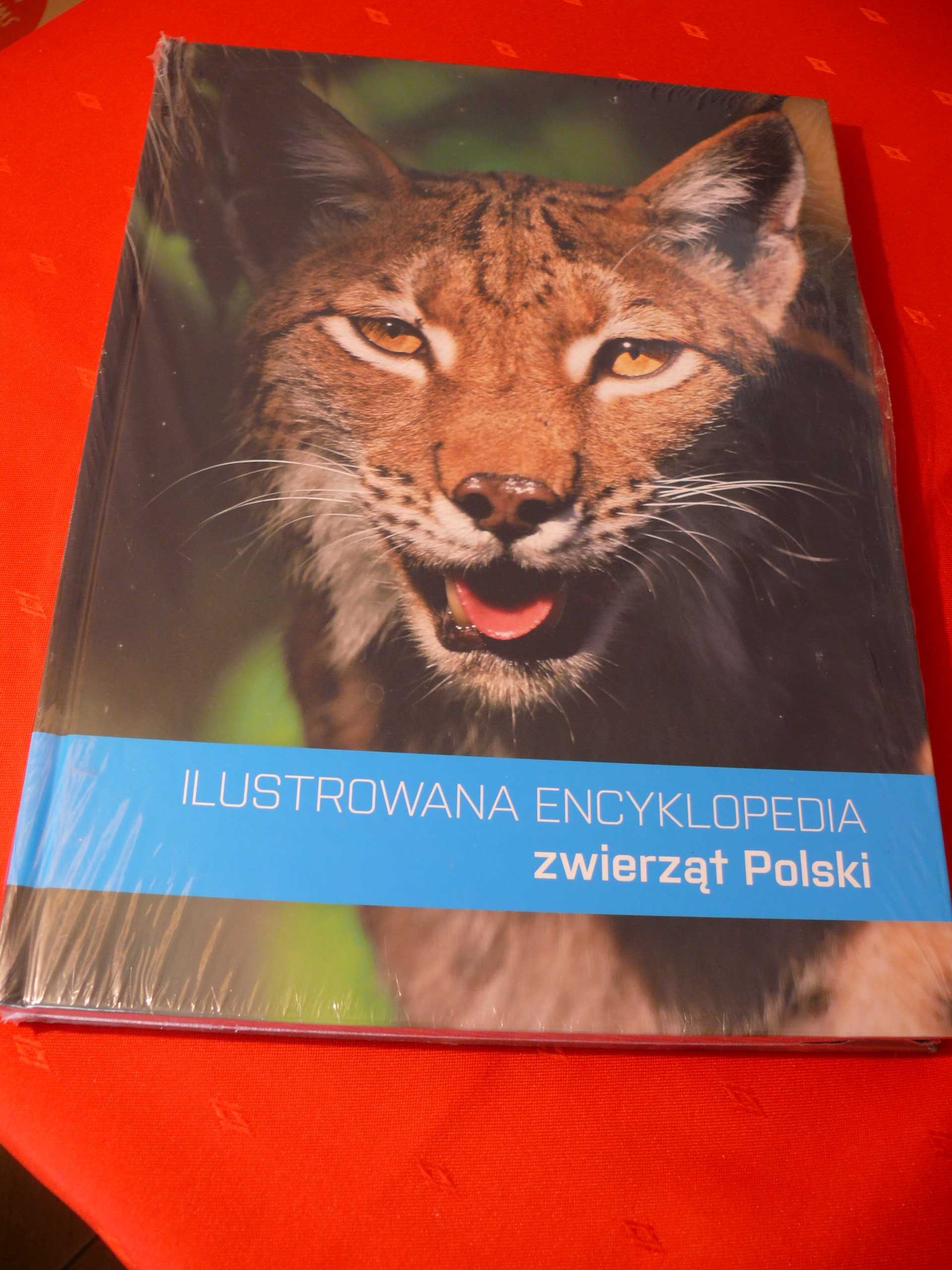 Ilustrowana encyklopedia zwierząt Polski Jerzy Abramowicz NOWA Prezent