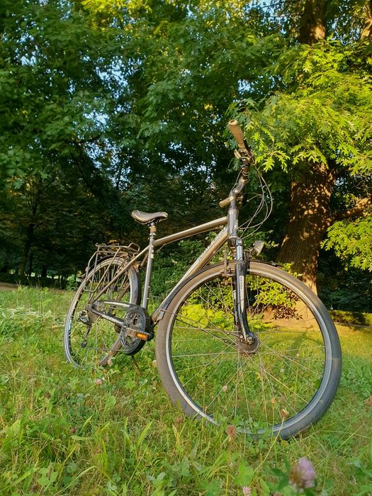 Rower męski trekkingowy miejski Raleigh Shimano