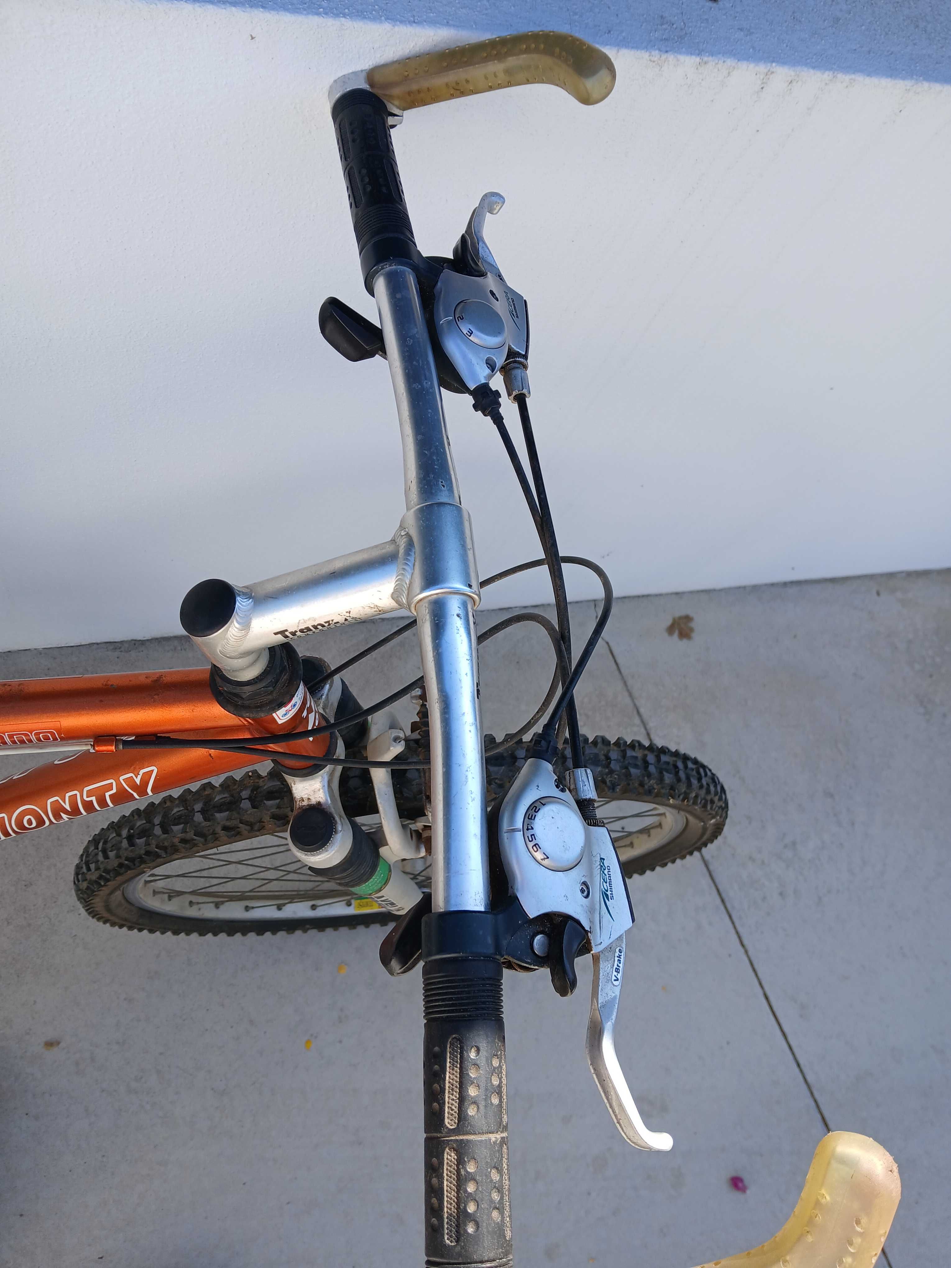 Bicicleta de adulto