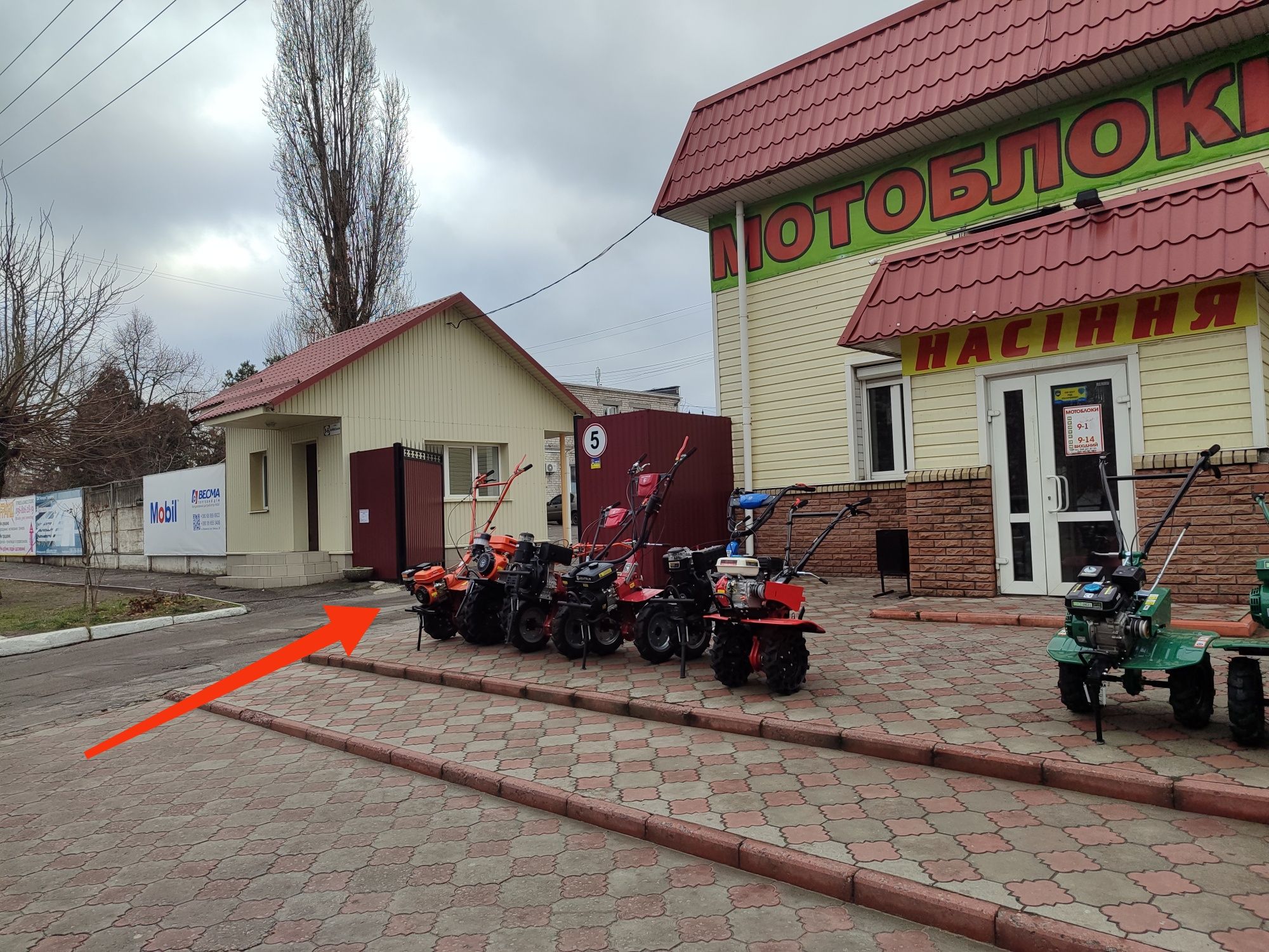 Послуги масажиста