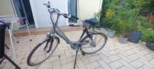 Rower damski Gazella