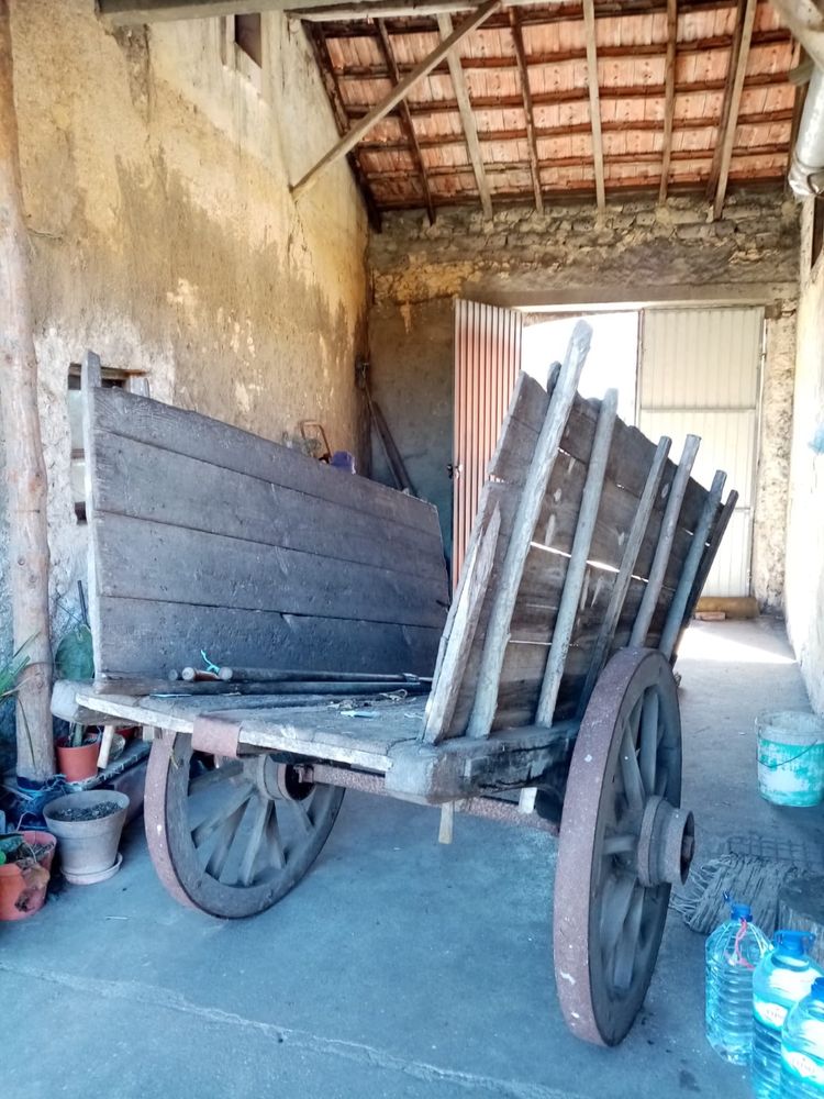 Carro de Bois agrícola antigo