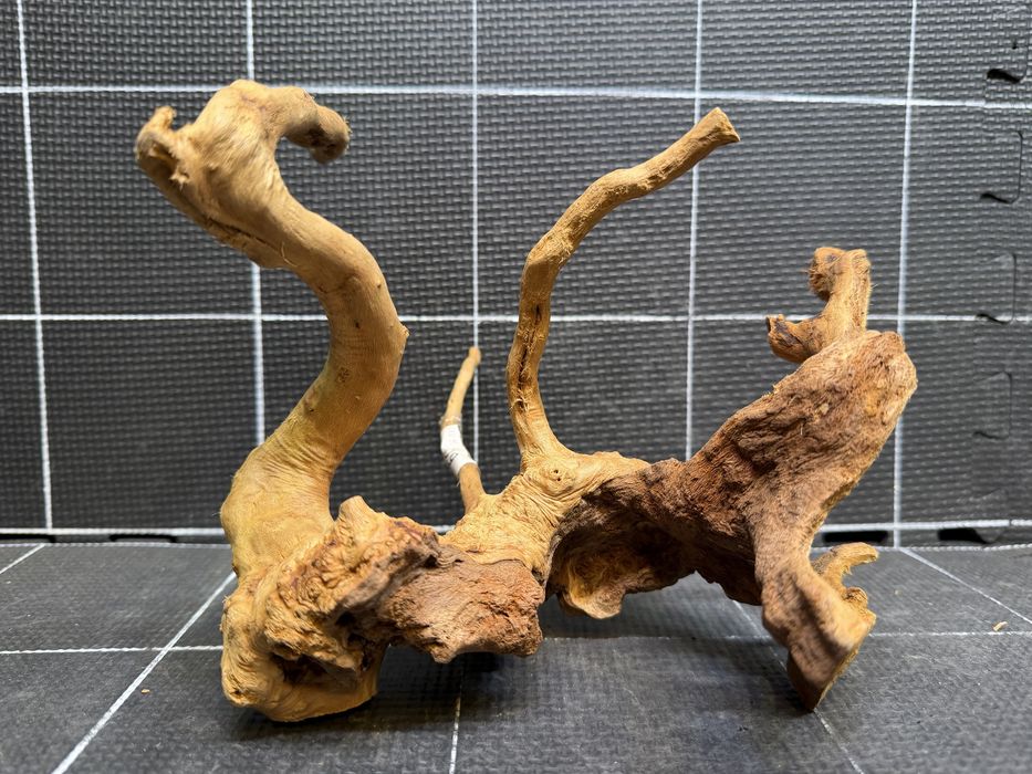 Korzeń red moor wood n-111