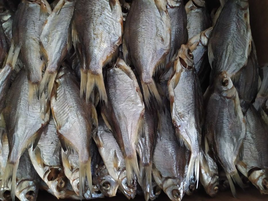 Сушена риба ( густіра, лящ, підлящ, карась)