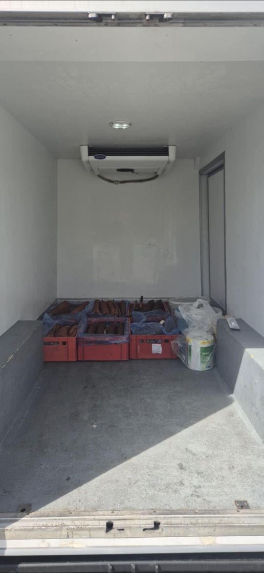 Fiat Ducato-chłodnia FV23%