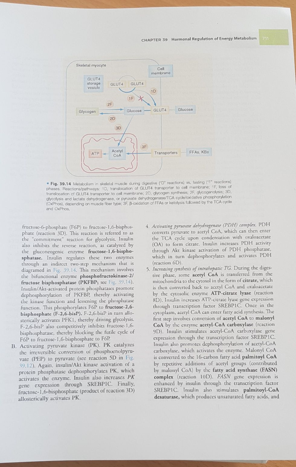 Berne & Levy Physiology 7° edition Sistema Endócrino e Sistema Renal