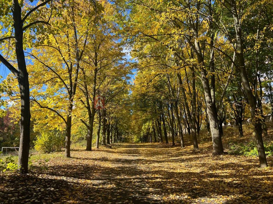 1к вул. Вишгородська Оболонь, озеро Міністерське, Епіцентр