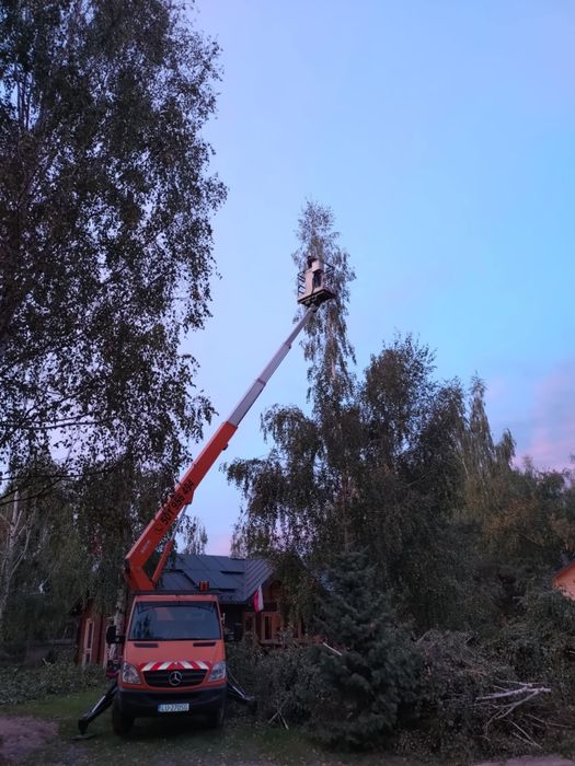 Wycinka - podcinka -pielęgnacja drzew , prace na wysokości