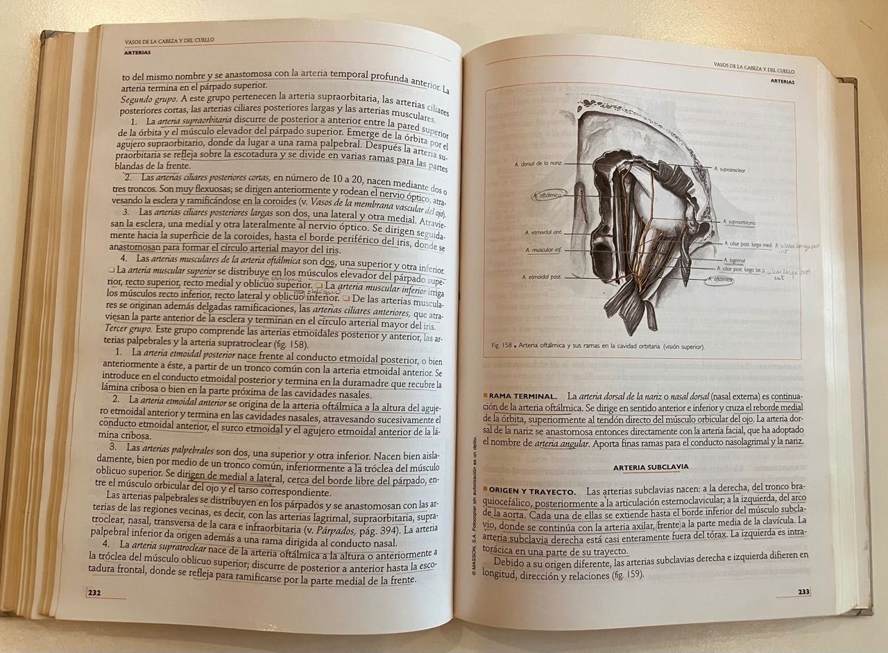 LIVROS Anatomía Humana 4 vol. - Rouvière & Delmas (11.ª edição)