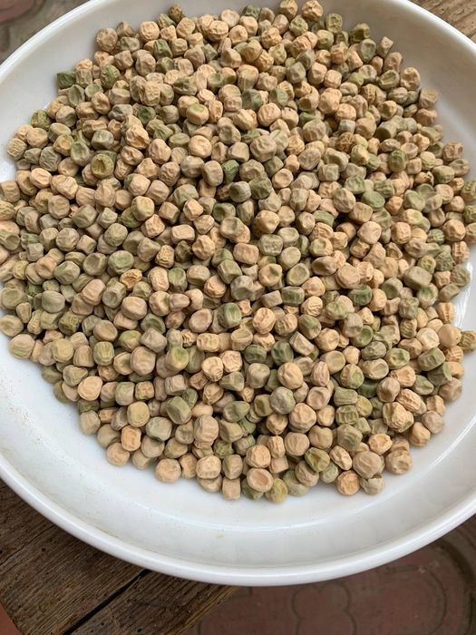 Семена /Насіння Сахарный горох, цукровий горох