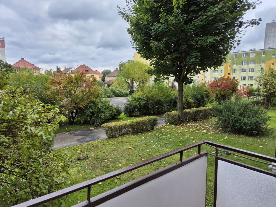 Mieszkanie do wynajecia