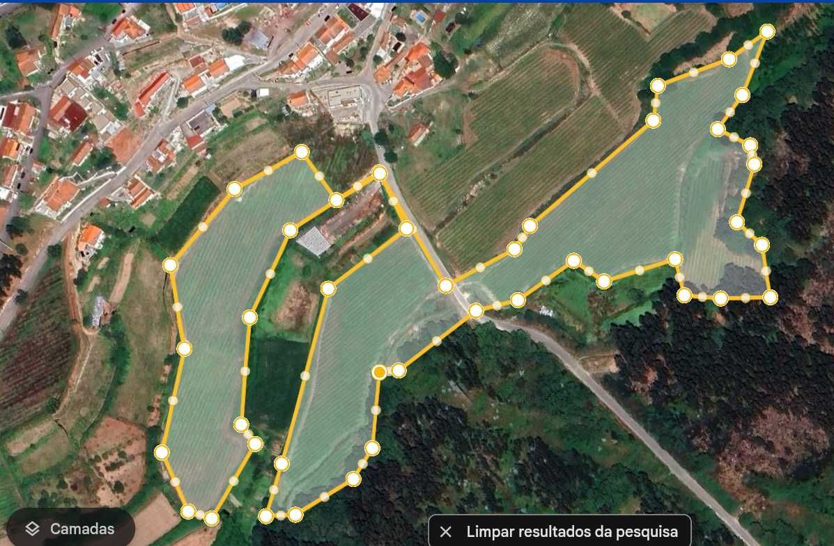 Terreno com 50000m2 com Vinha Mecanizada nova