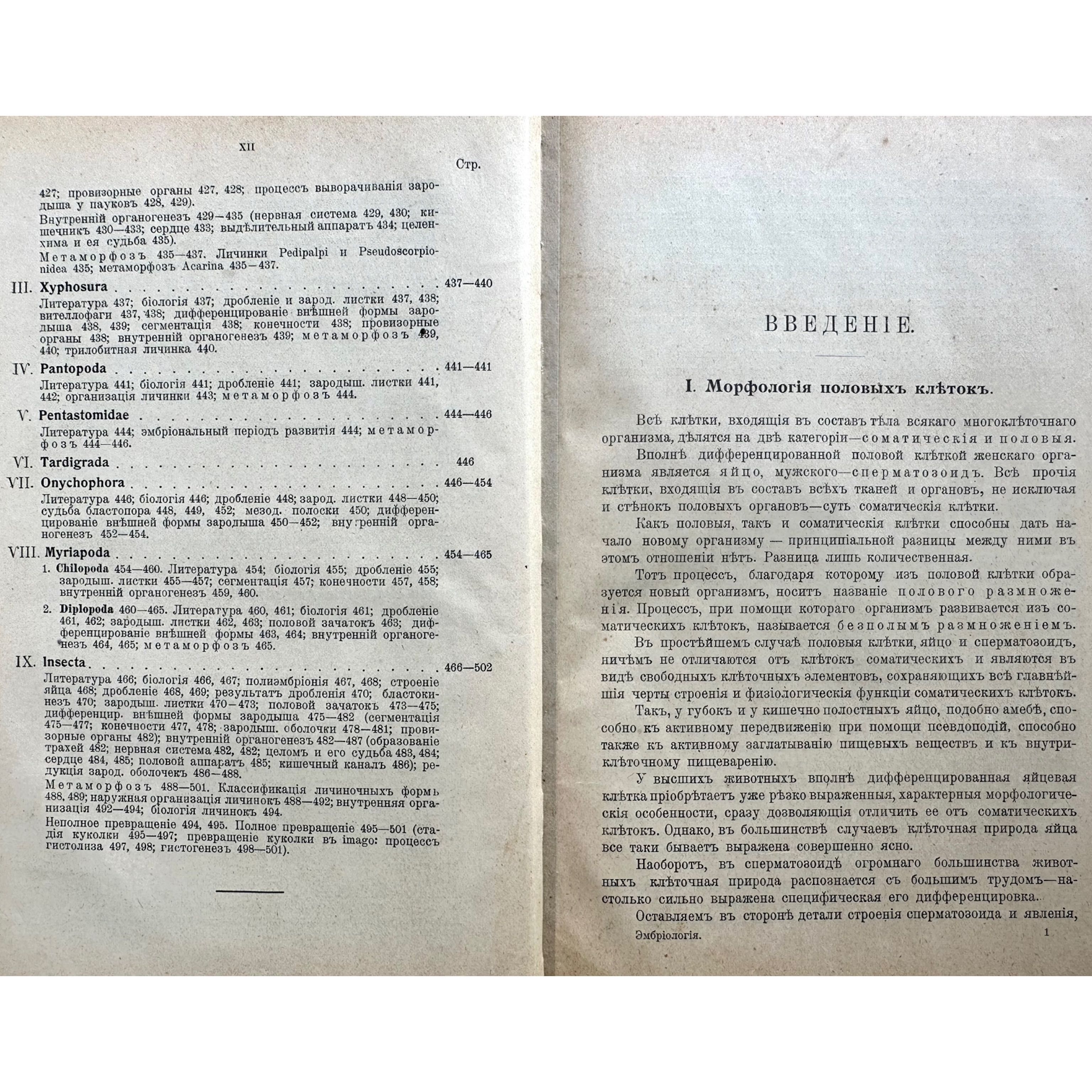 «1914 г. Курс эмбриологии безпозвоночных. К.Н. Давыдов»