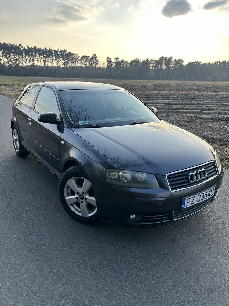 Audi a3 8P 1.9TDI