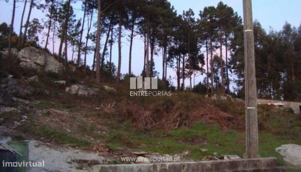 Terreno - Castelo de Neiva