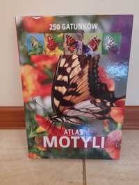 Atlas motyli. Nowa