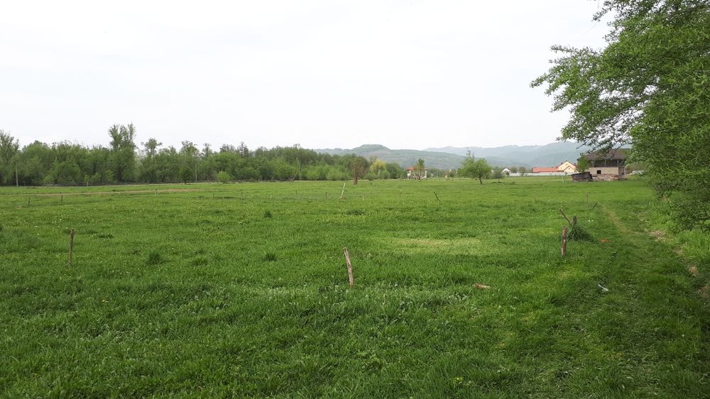 Продається земельна ділянка с.Терново