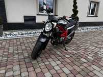 Suzuki Gladius 650