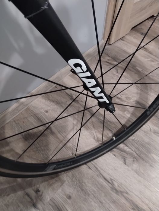 Giant TCR Composite 2 (2014)