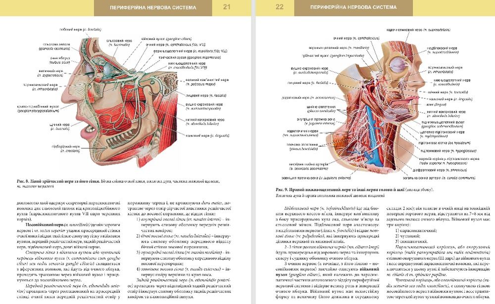 Анатомия. Нормальная. Анатомія. Нормальна. Головацький.