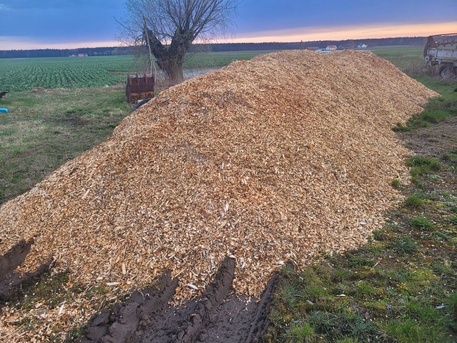 Zrębka Liściasto-Iglasta,zrębka liściasta,zrębka iglasta,zrębka agro