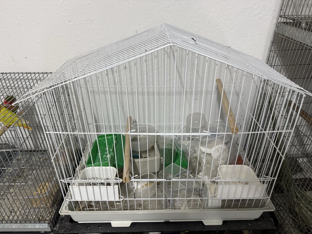 Gaiola galvanizada e gaiola branca