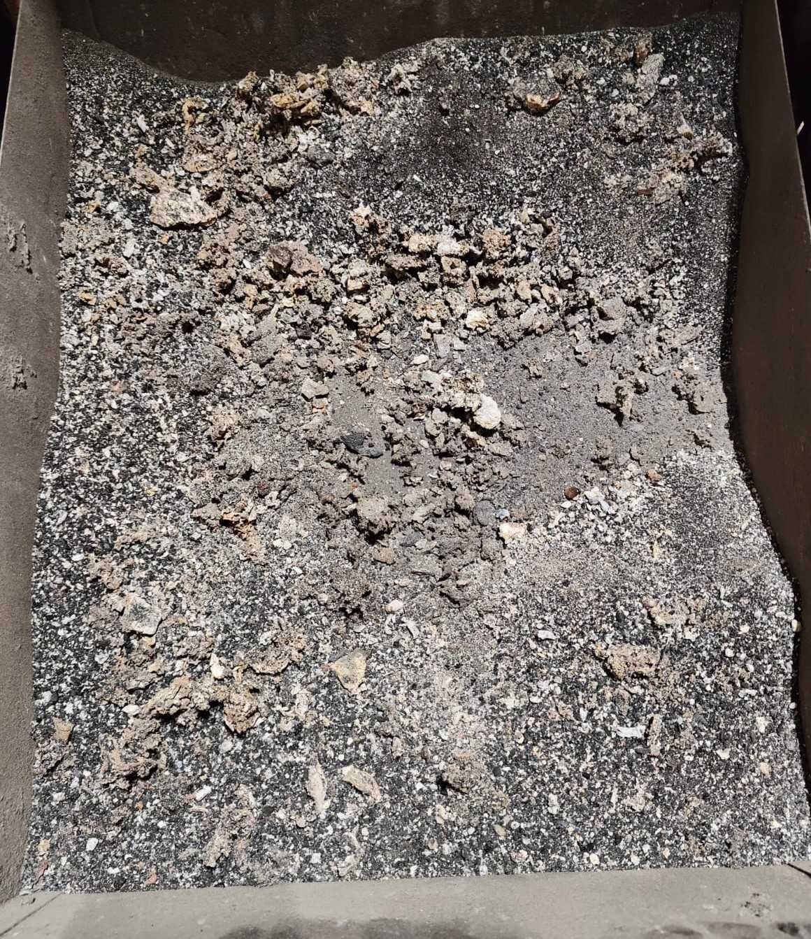 Groszek Ekogroszek EKOSUN 28 Premium super jakość bartex Lew sobianek