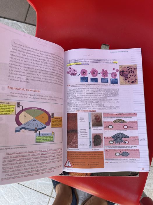 Livro de Biologia e Geologia 11.ºAno - Terra, Universo de Vida