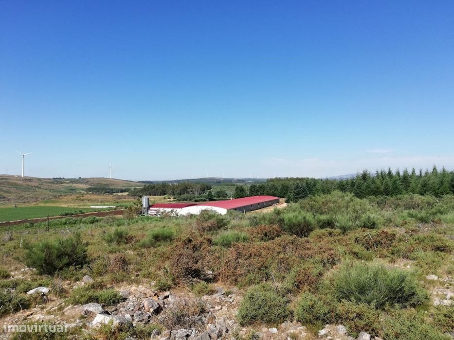 Exploração Agropecuária