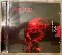 Sepultura beneath the remains