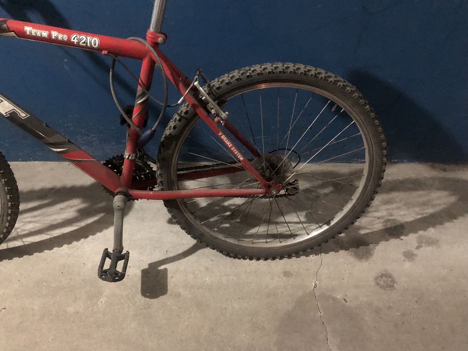 Bicicleta adulto